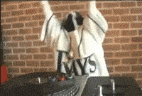 Google ravit le net en proposant la recherche dimages GIF funny gif collection 33 Google ravit le net en proposant la recherche dimages GIF